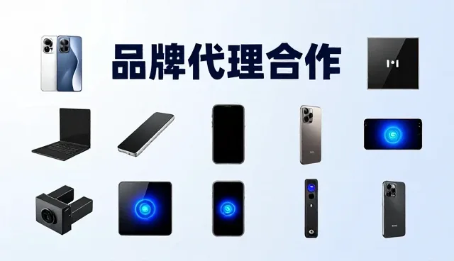 不同采购场景下品牌代理合作的决策策略分析